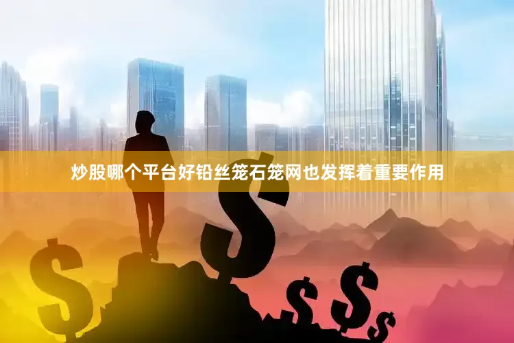 炒股哪个平台好铅丝笼石笼网也发挥着重要作用