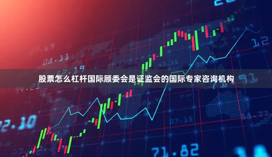 股票怎么杠杆　　国际顾委会是证监会的国际专家咨询机构