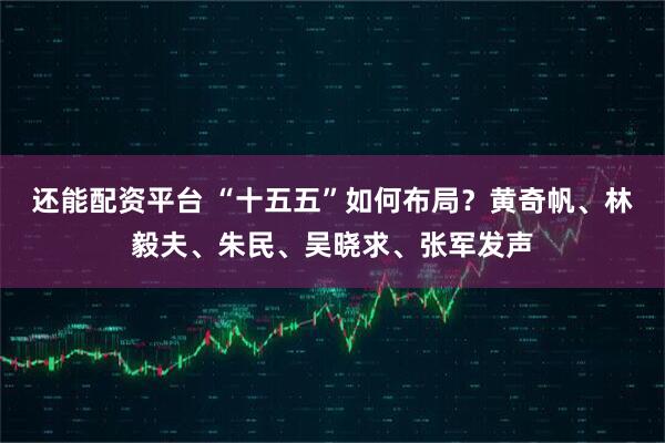 还能配资平台 “十五五”如何布局？黄奇帆、林毅夫、朱民、吴晓求、张军发声