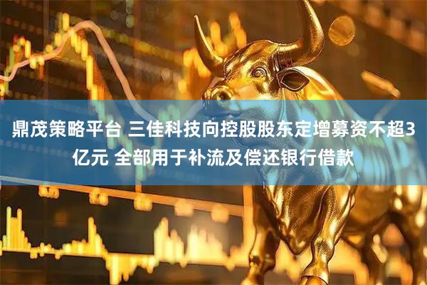 鼎茂策略平台 三佳科技向控股股东定增募资不超3亿元 全部用于补流及偿还银行借款