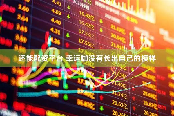 还能配资平台 幸运咖没有长出自己的模样