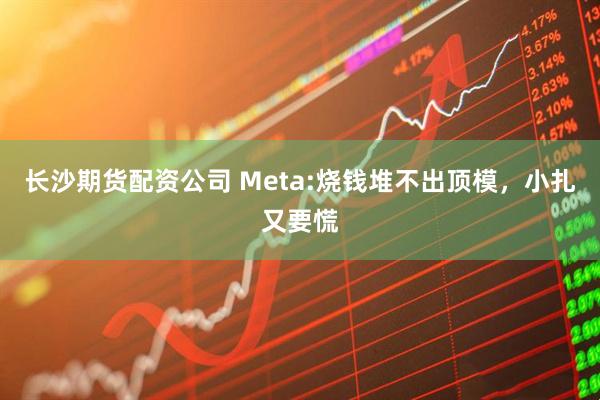 长沙期货配资公司 Meta:烧钱堆不出顶模，小扎又要慌